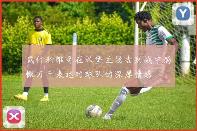 武什科维奇在汉堡主场告别战中感慨万千表达对球队的深厚情感