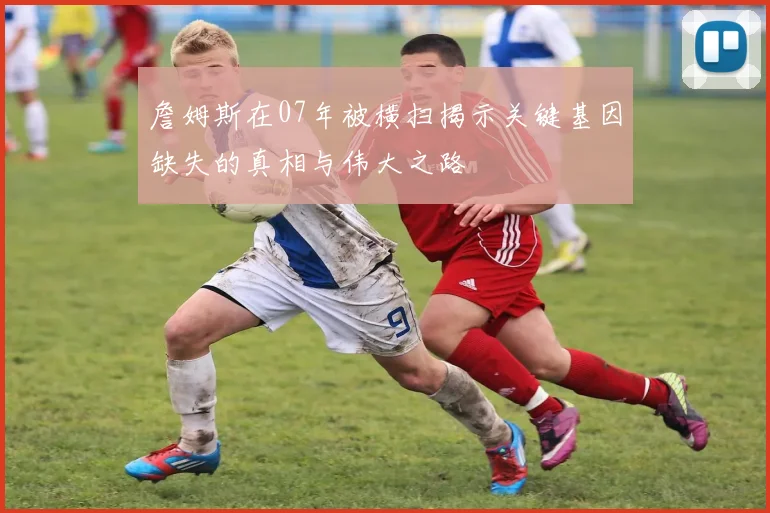 詹姆斯在07年被横扫揭示关键基因缺失的真相与伟大之路